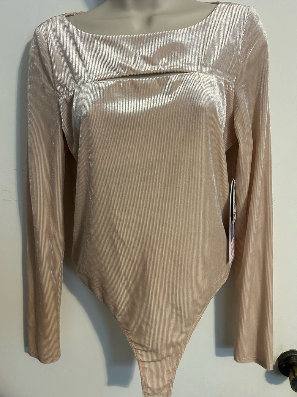 Celebrity Pink Long Sleeve Velvet Bodysuit in Blush